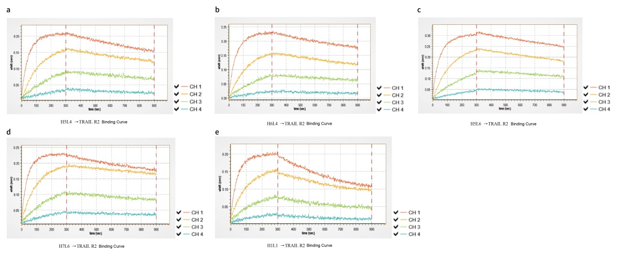 antibody humanization design