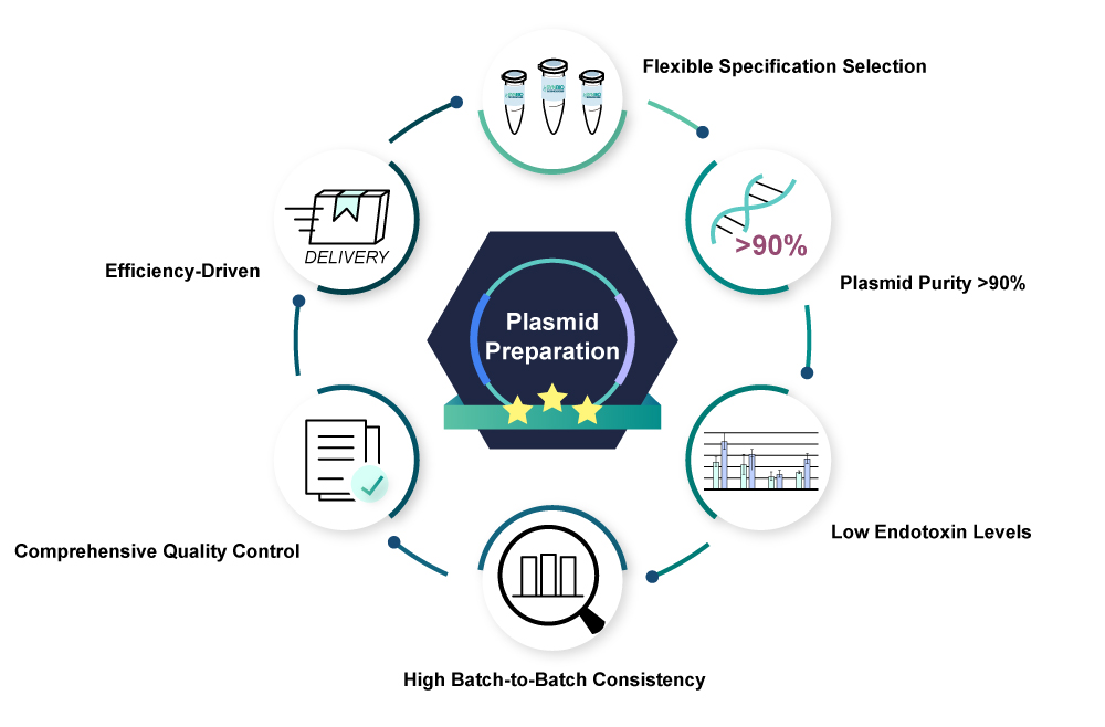 Plasmid Preparation Highlights