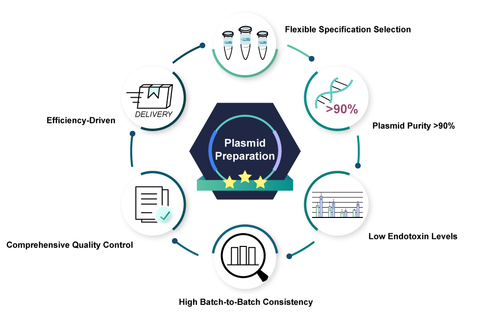 Highlights of Plasmid Preparation