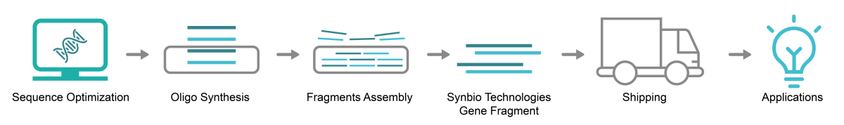 workflow of fragment XP synthesis