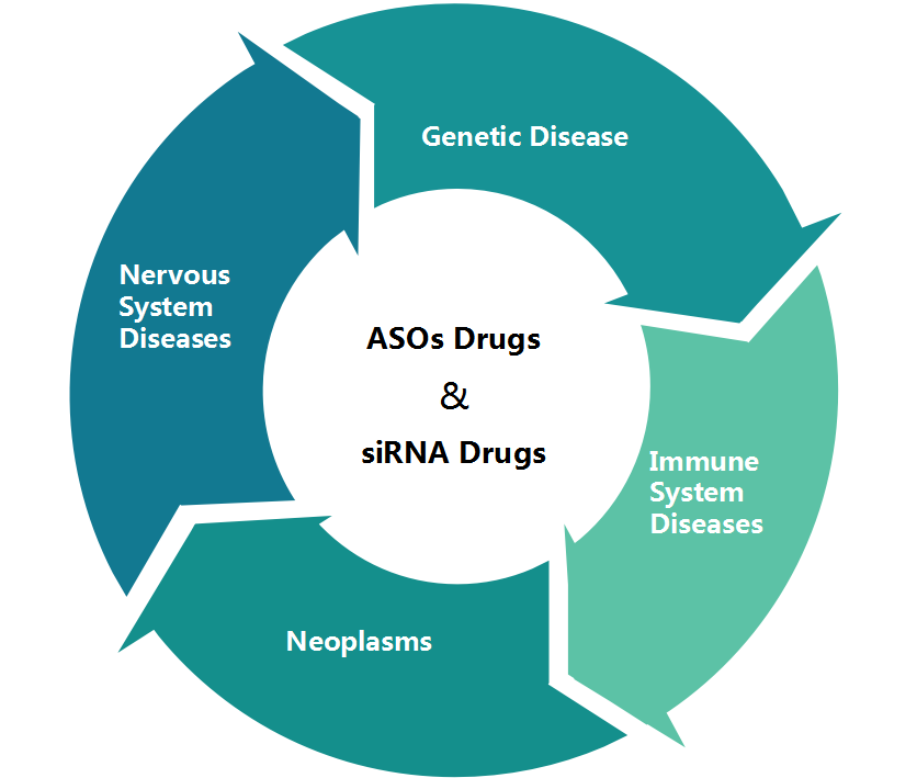 ASOs Drugs & siRNA Drugs