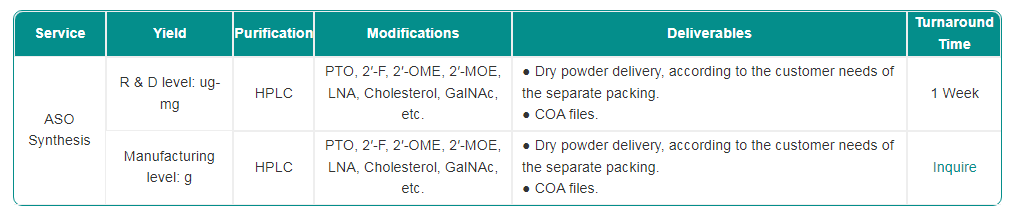 Antisense oligonucleotide Service