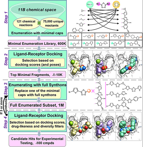 Syntheton-based ligand discovery in a virtual library of over 11 billion compounds