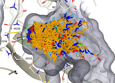 Fragment-based drug discovery via high-throughput docking: the ROCK1 case study