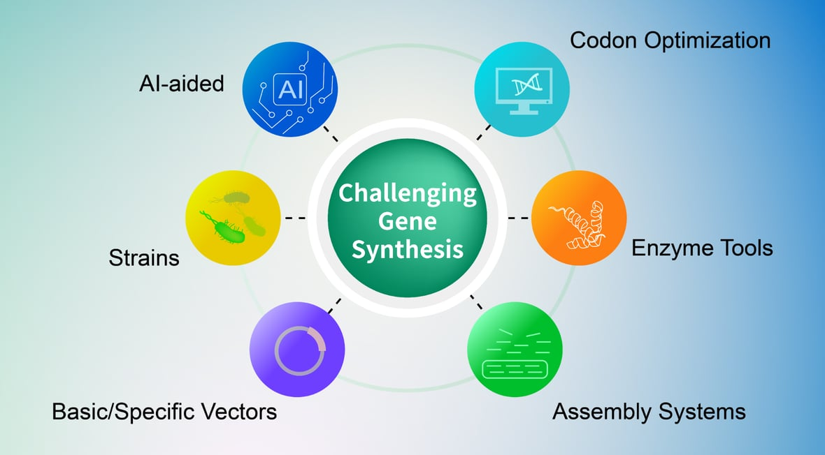 Challenging Gene Synthesis