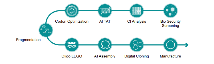 Gene synthesis workflow