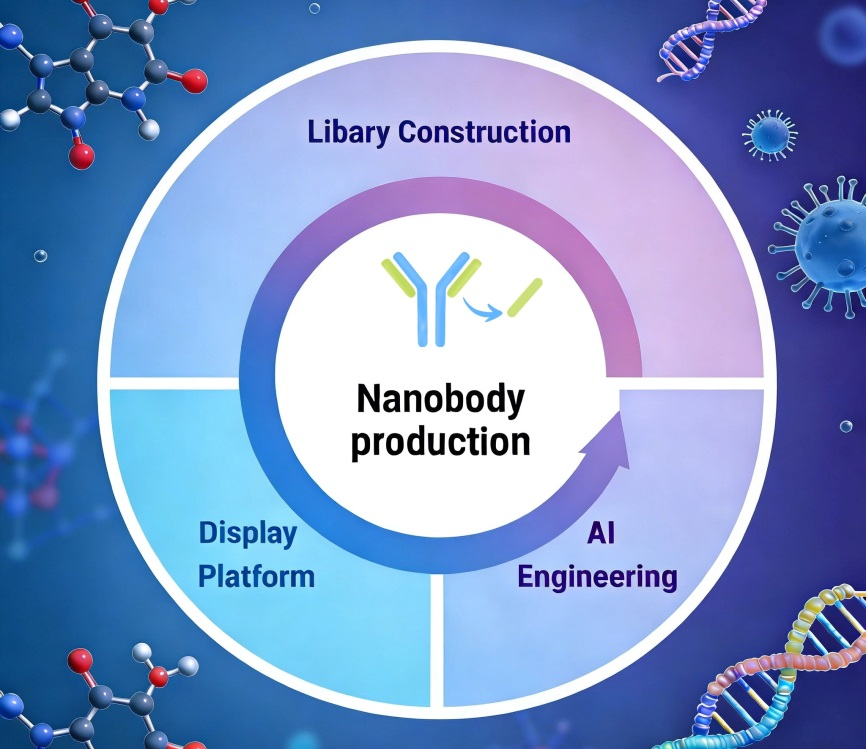 Nanobody production