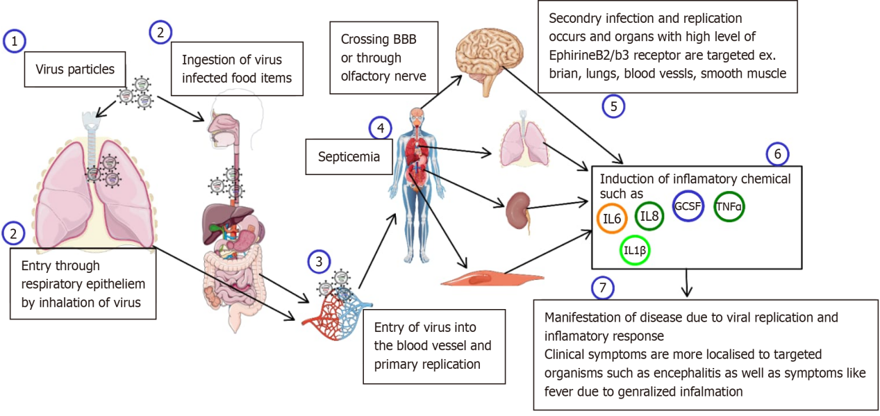 Niv Pathogenic Mechanism