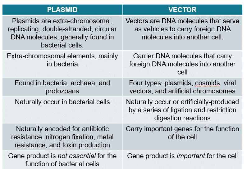 Plasmid Vectors