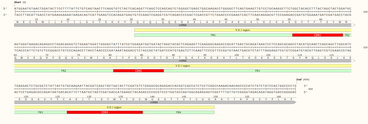 hybridoma sequencing