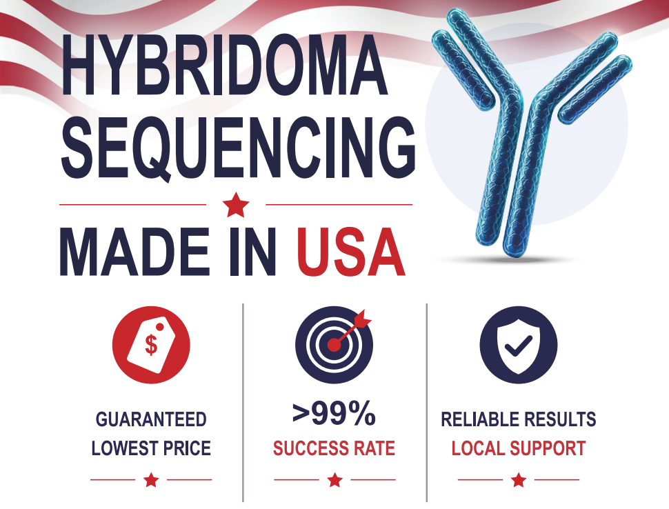 Highlights of Hybridoma Sequencing