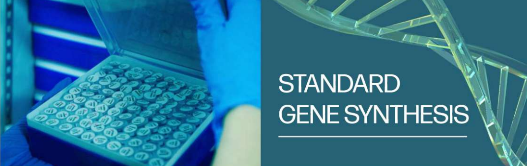 Gene synthesis