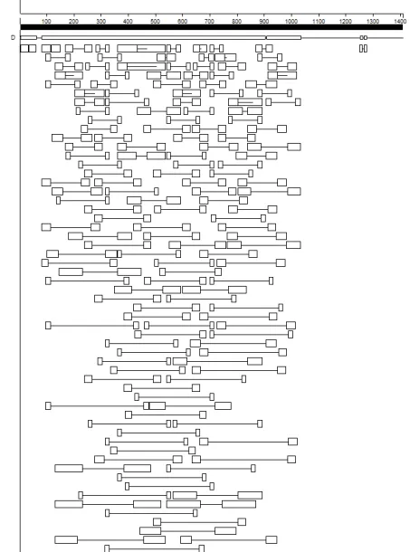 Complex Sequence