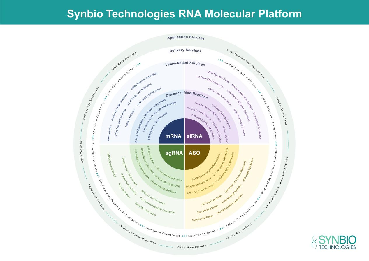 RNA manufacturing platform
