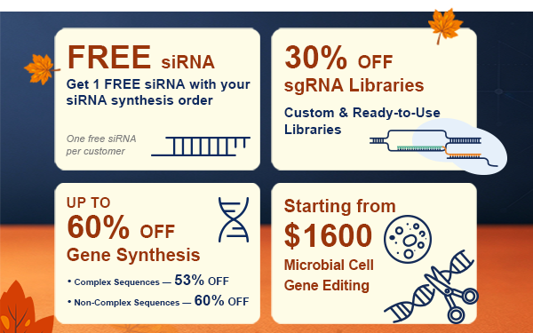 Autumn promotion