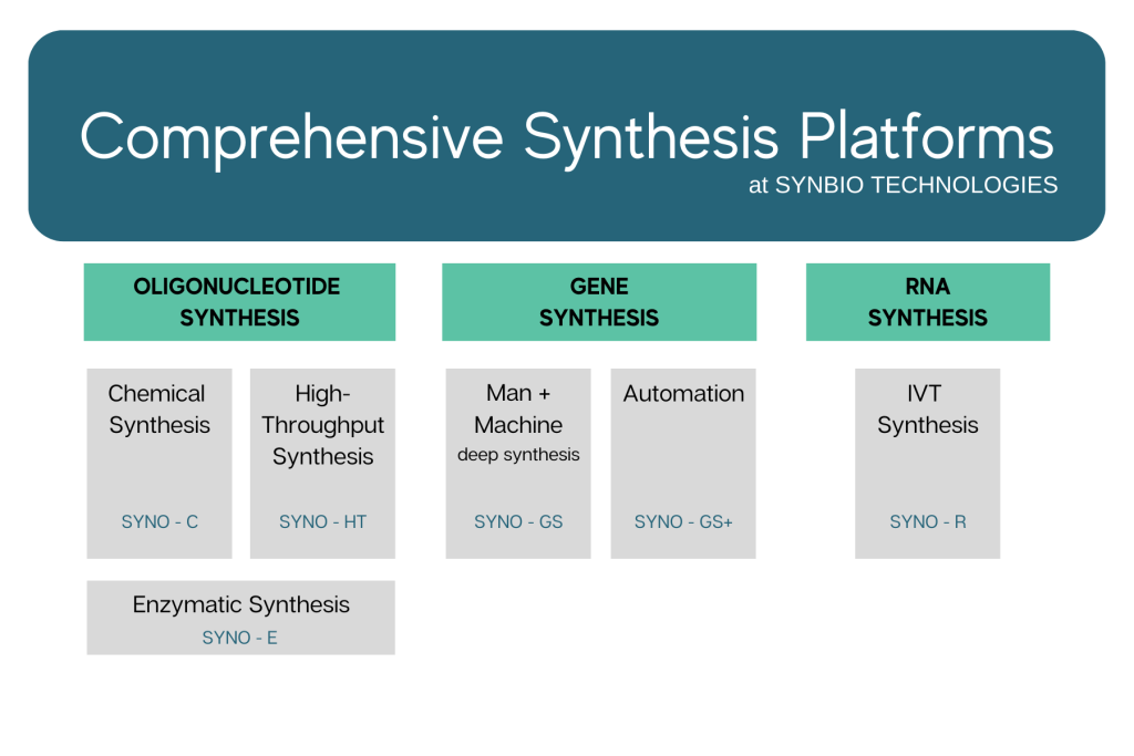 Gene synthesis platforms