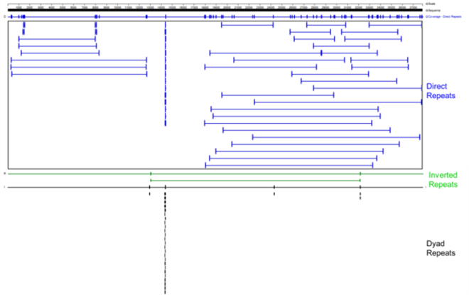 Repeat Sequence Analysis of Target Fragments