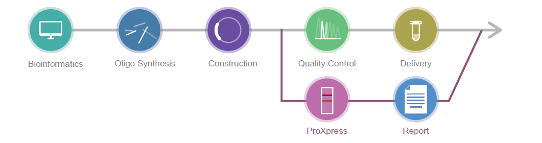 Protein Expression + Gene Synthesis